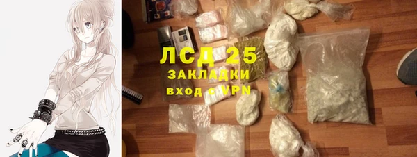 прущие грибы Нефтекумск