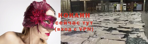 прущие грибы Нефтекумск