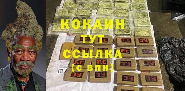 прущие грибы Нефтекумск