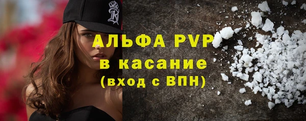 прущие грибы Нефтекумск
