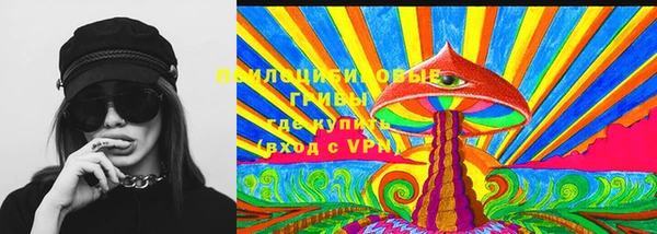 прущие грибы Нефтекумск