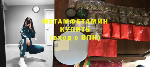 прущие грибы Нефтекумск