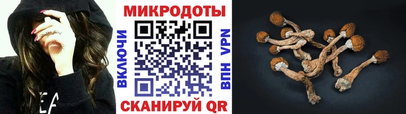 блэк спрут tor  Отрадная  Псилоцибиновые грибы прущие грибы 