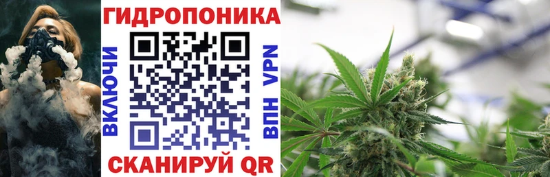 Каннабис Amnesia  цена наркотик  Отрадная 